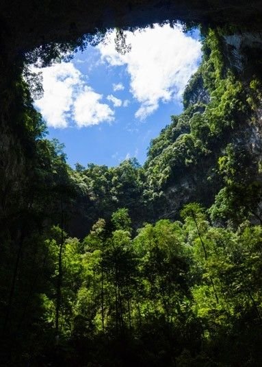 The first Son Doong cave in the British newspaper 0